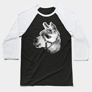 B&W Alpaca Baseball T-Shirt